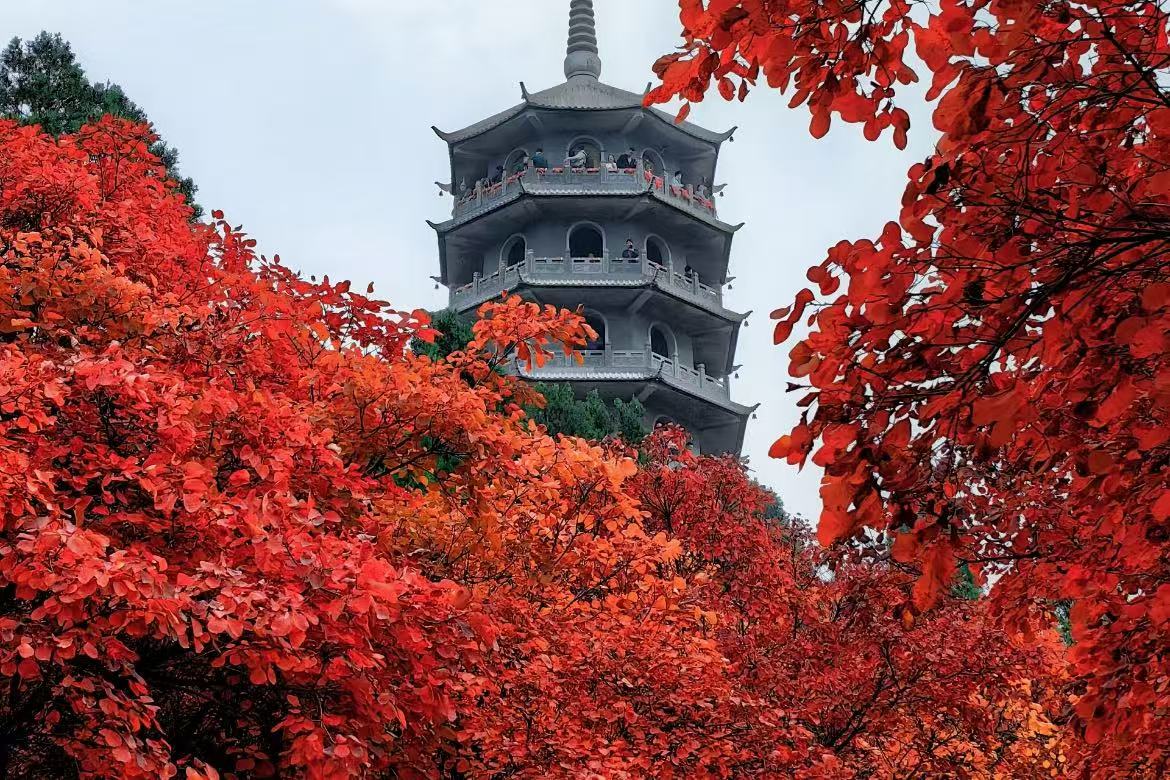Red Leaf Valley
